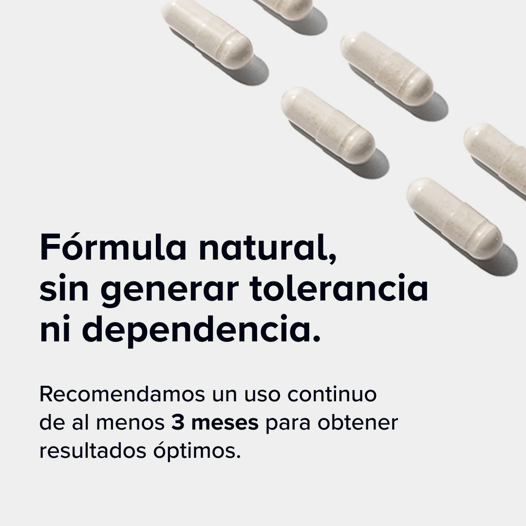 Dailybacs Mujeres - Image 5