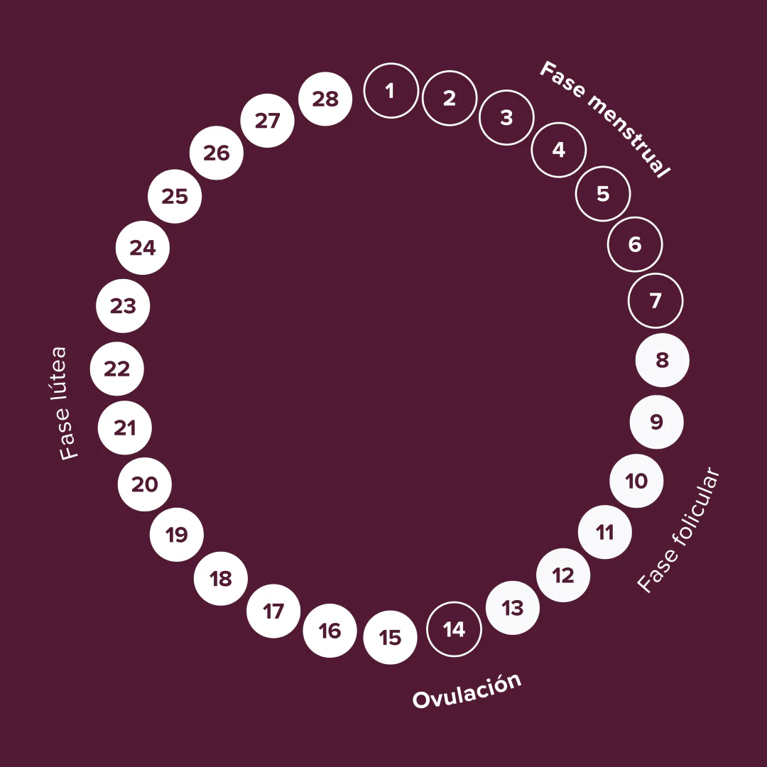 Cycle Flow - Image 4